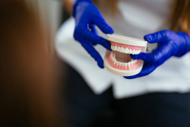 Loma, CO  Holistic Dental Services Company